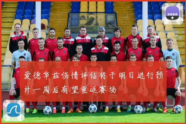 爱德华兹伤情评估将于明日进行预计一周后有望重返赛场