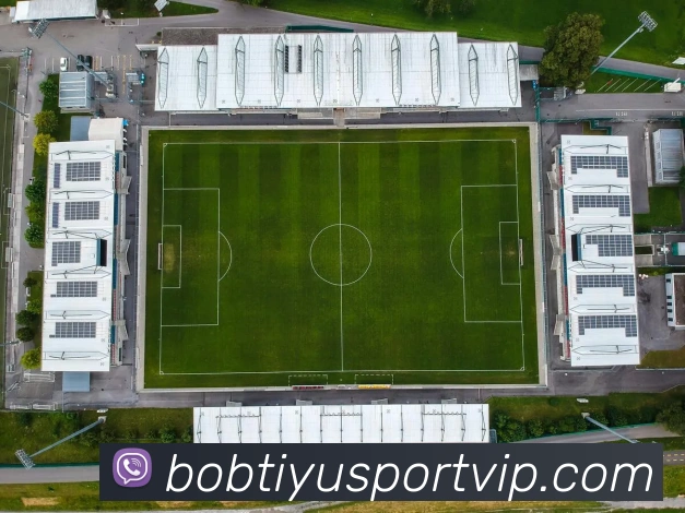 App Interface Preview