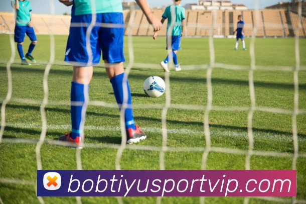 BOB体育APP 封面图