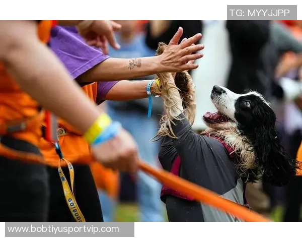 马克西携爱犬挑战敏捷赛道现场观众热情高涨达15000人